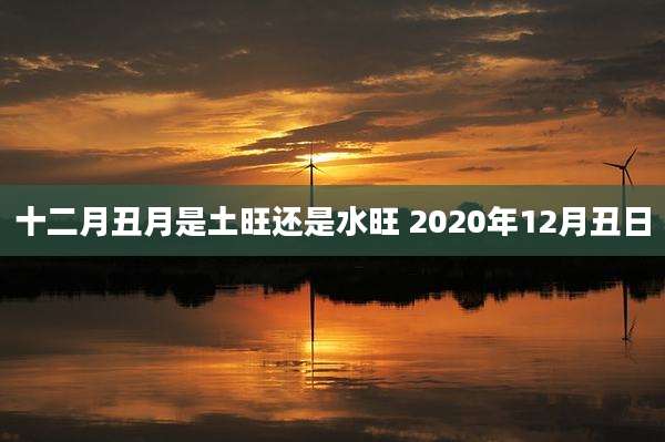 十二月丑月是土旺还是水旺 2020年12月丑日