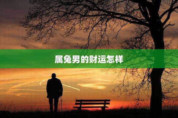 属兔男的财运怎样