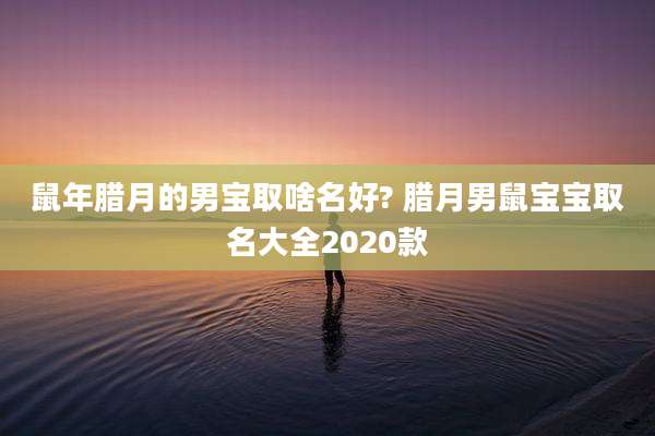 鼠年腊月的男宝取啥名好? 腊月男鼠宝宝取名大全2020款