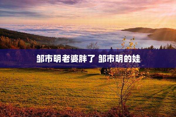 邹市明老婆胖了 邹市明的娃