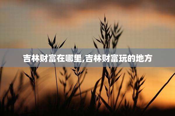 吉林财富在哪里,吉林财富玩的地方