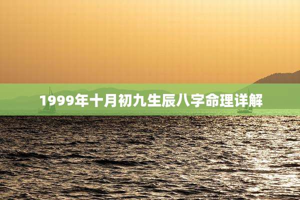 1999年十月初九生辰八字命理详解