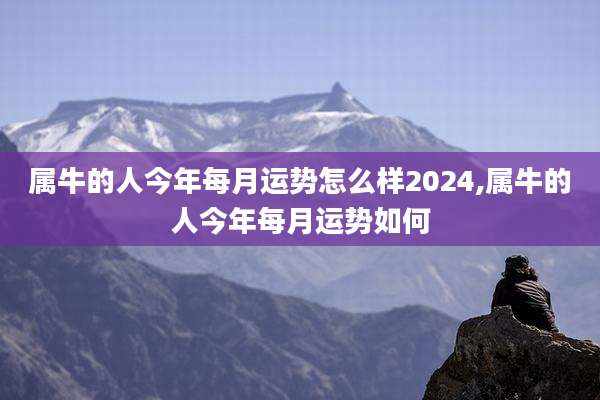 属牛的人今年每月运势怎么样2024,属牛的人今年每月运势如何