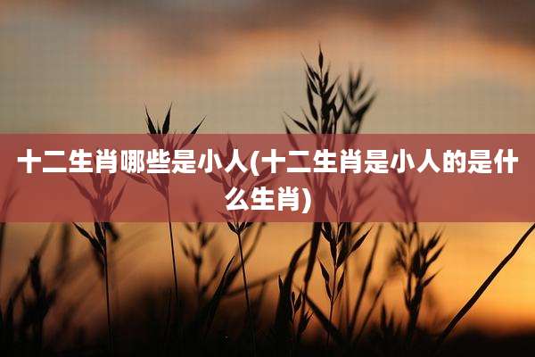 十二生肖哪些是小人(十二生肖是小人的是什么生肖)