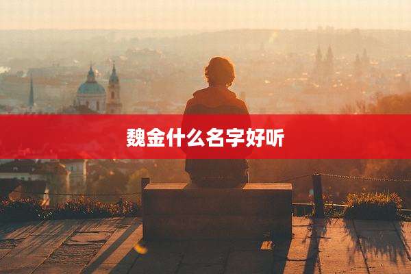 魏金什么名字好听