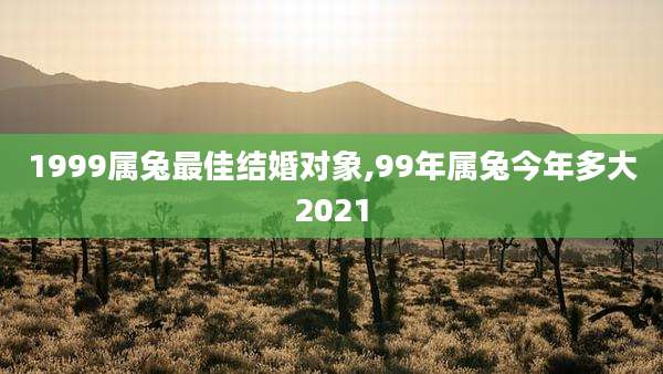 1999属兔最佳结婚对象,99年属兔今年多大2021