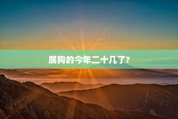 属狗的今年二十几了?