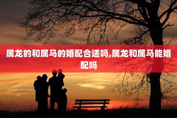 属龙的和属马的婚配合适吗,属龙和属马能婚配吗