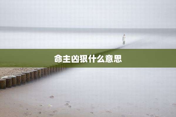 命主凶狠什么意思