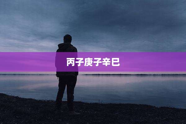 丙子庚子辛巳