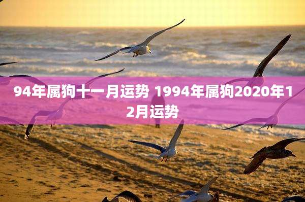 94年属狗十一月运势 1994年属狗2020年12月运势
