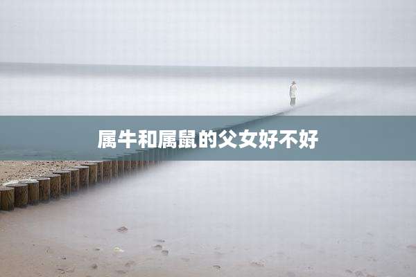 属牛和属鼠的父女好不好