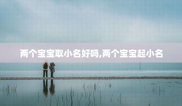 两个宝宝取小名好吗,两个宝宝起小名