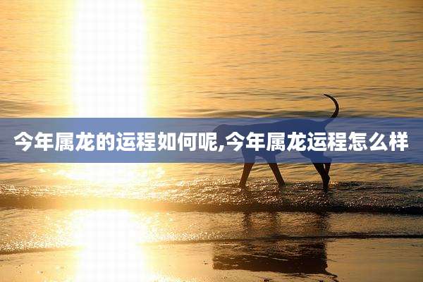 今年属龙的运程如何呢,今年属龙运程怎么样