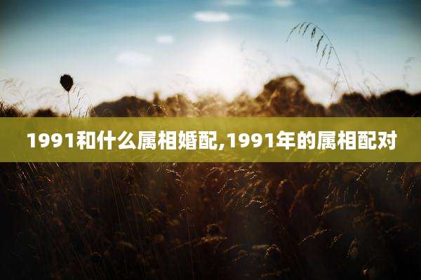 1991和什么属相婚配,1991年的属相配对