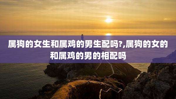 属狗的女生和属鸡的男生配吗?,属狗的女的和属鸡的男的相配吗