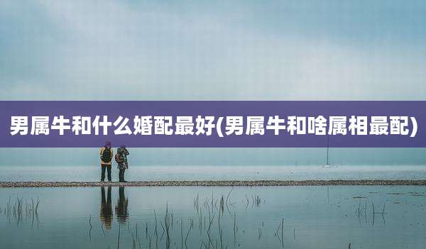 男属牛和什么婚配最好(男属牛和啥属相最配)