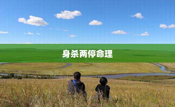 身杀两停命理