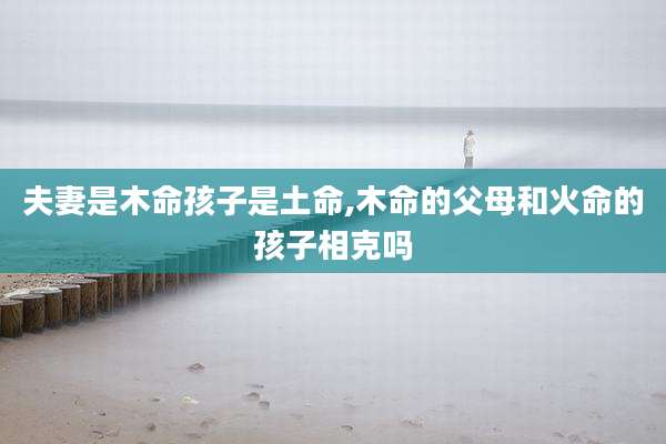 夫妻是木命孩子是土命,木命的父母和火命的孩子相克吗