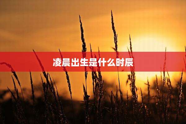 凌晨出生是什么时辰