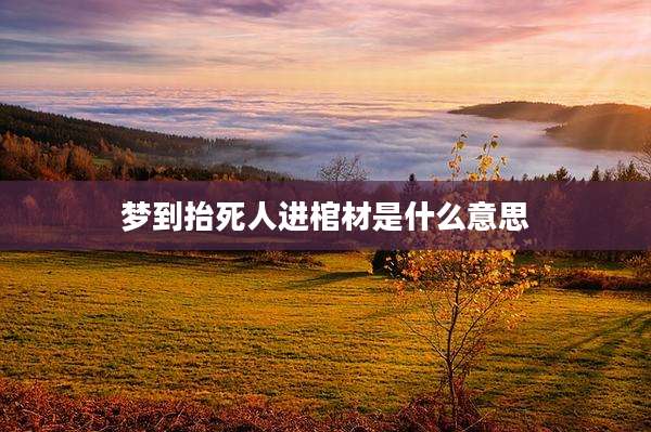 梦到抬死人进棺材是什么意思