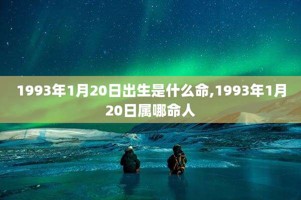 1993年1月20日出生是什么命,1993年1月20日属哪命人