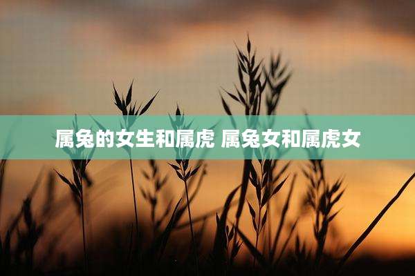 属兔的女生和属虎 属兔女和属虎女