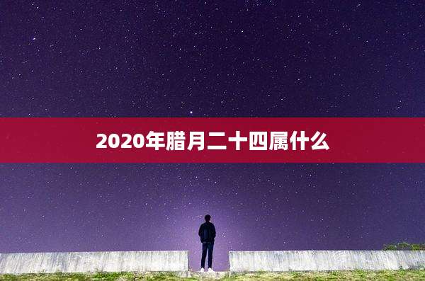 2020年腊月二十四属什么