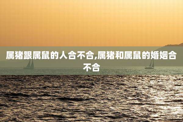 属猪跟属鼠的人合不合,属猪和属鼠的婚姻合不合