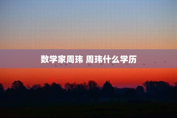 数学家周玮 周玮什么学历