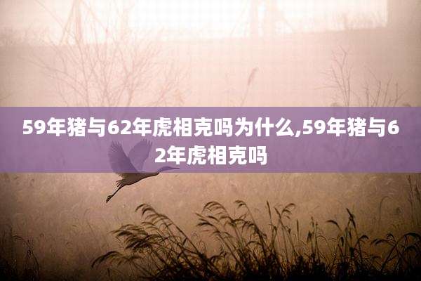 59年猪与62年虎相克吗为什么,59年猪与62年虎相克吗