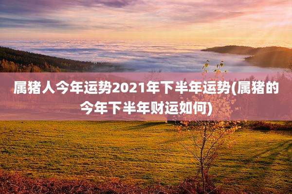 属猪人今年运势2021年下半年运势(属猪的今年下半年财运如何)