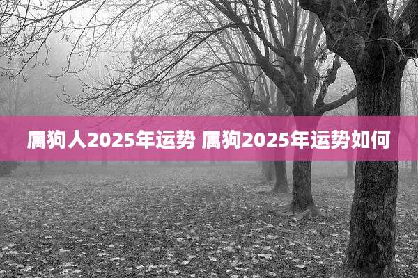 属狗人2025年运势 属狗2025年运势如何