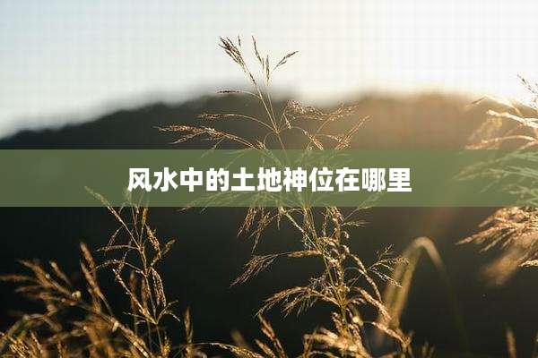 风水中的土地神位在哪里