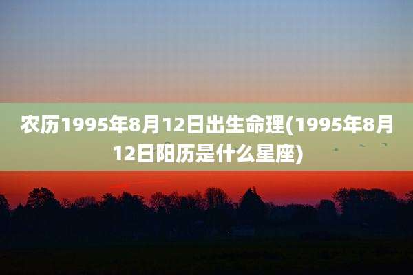 农历1995年8月12日出生命理(1995年8月12日阳历是什么星座)