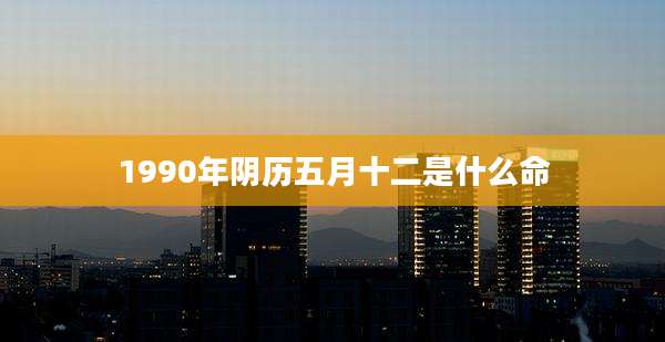 1990年阴历五月十二是什么命