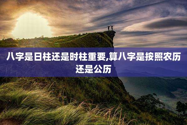 八字是日柱还是时柱重要,算八字是按照农历还是公历