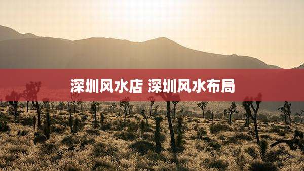 深圳风水店 深圳风水布局
