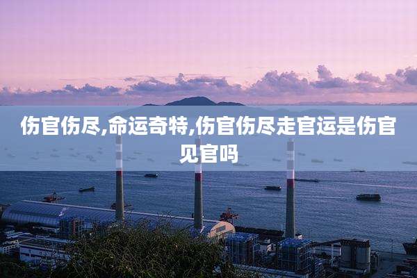伤官伤尽,命运奇特,伤官伤尽走官运是伤官见官吗