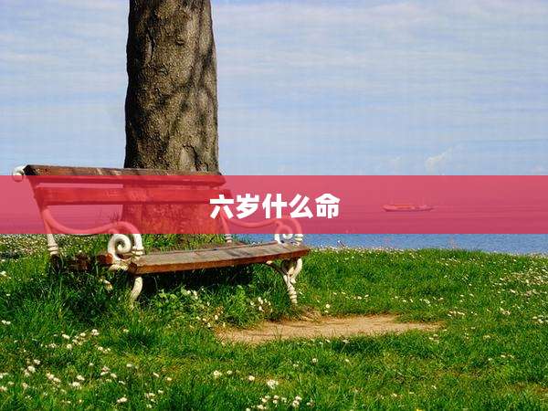 六岁什么命