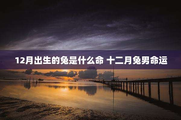 12月出生的兔是什么命 十二月兔男命运