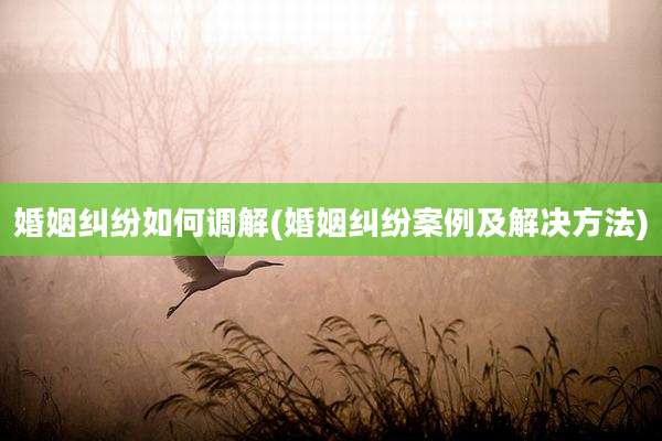 婚姻纠纷如何调解(婚姻纠纷案例及解决方法)
