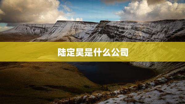 陆定昊是什么公司