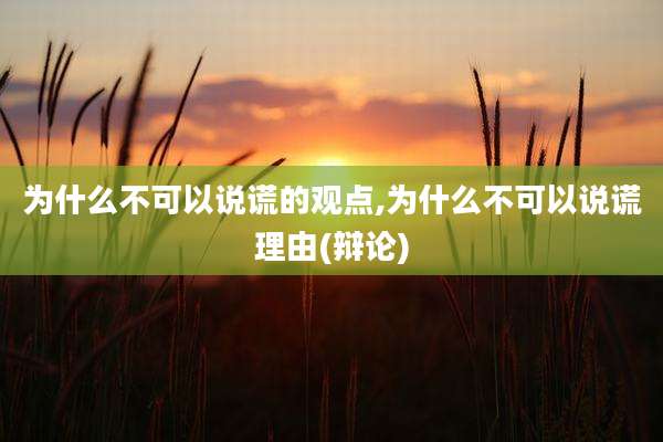 为什么不可以说谎的观点,为什么不可以说谎理由(辩论)
