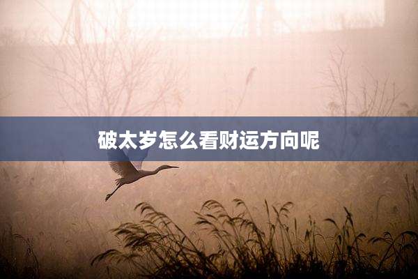破太岁怎么看财运方向呢