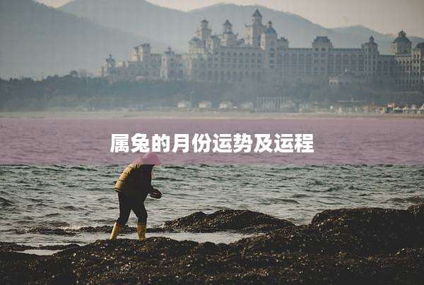 属兔的月份运势及运程