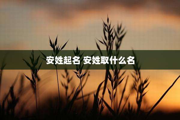 安姓起名 安姓取什么名