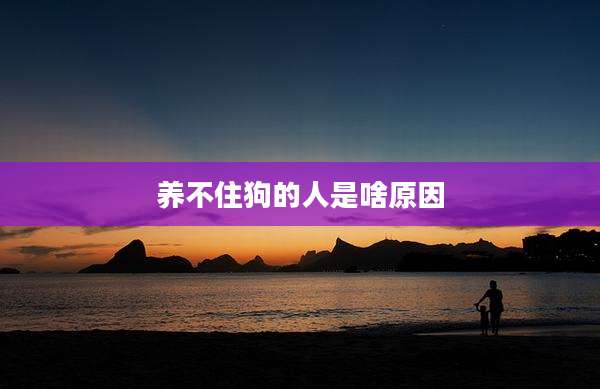 养不住狗的人是啥原因