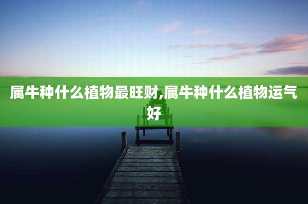 属牛种什么植物最旺财,属牛种什么植物运气好