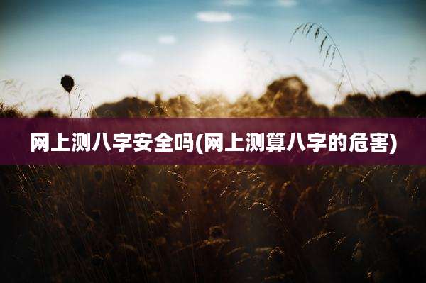 网上测八字安全吗(网上测算八字的危害)